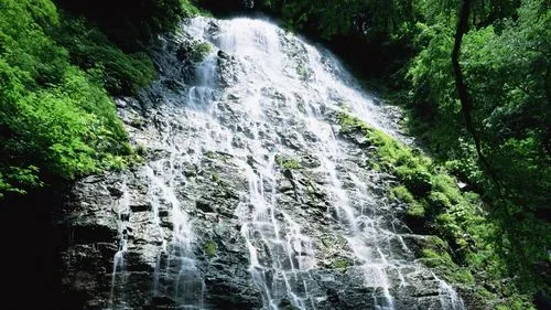 高效高性能智能